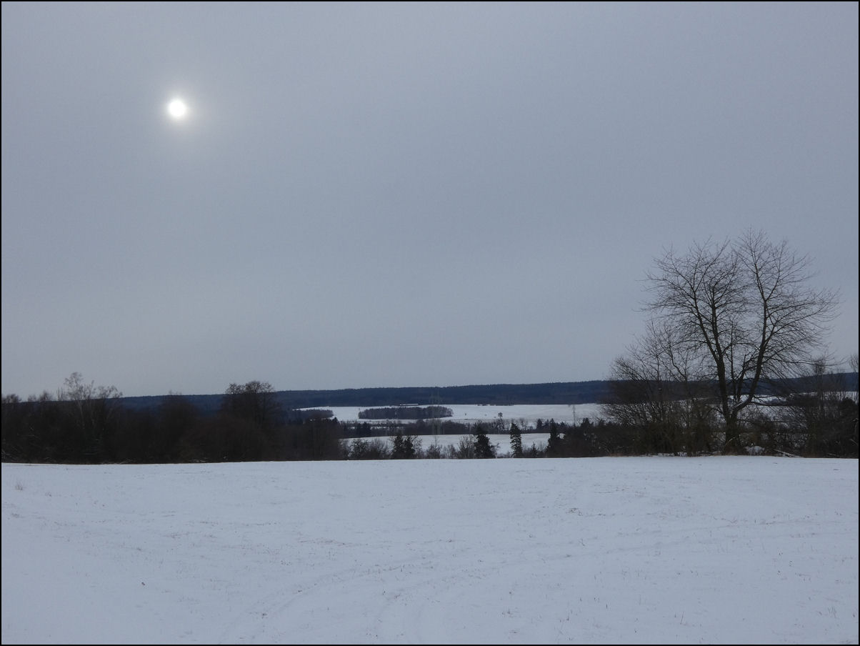 Kliknutím spusť galerii Zimní slunce nad zasněženými lukami Pasecké planiny (Otradov-louky u lesa Vrchy, 01/2026).