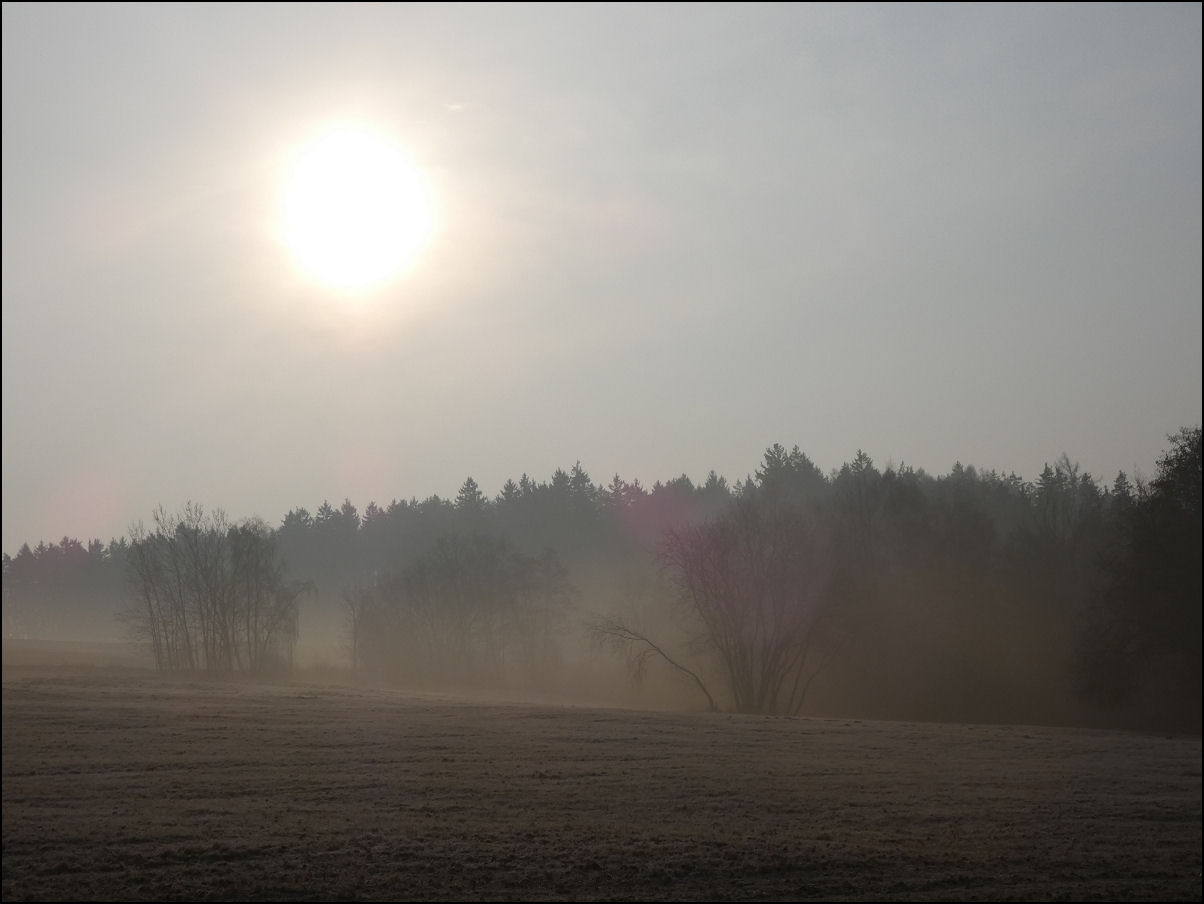 Kliknutím spusť galerii Vycházející slunce za mlhavého rána s přízemními mrazíky v předjaří (Otradov-louky u lesa Vrchy, 03/2026).